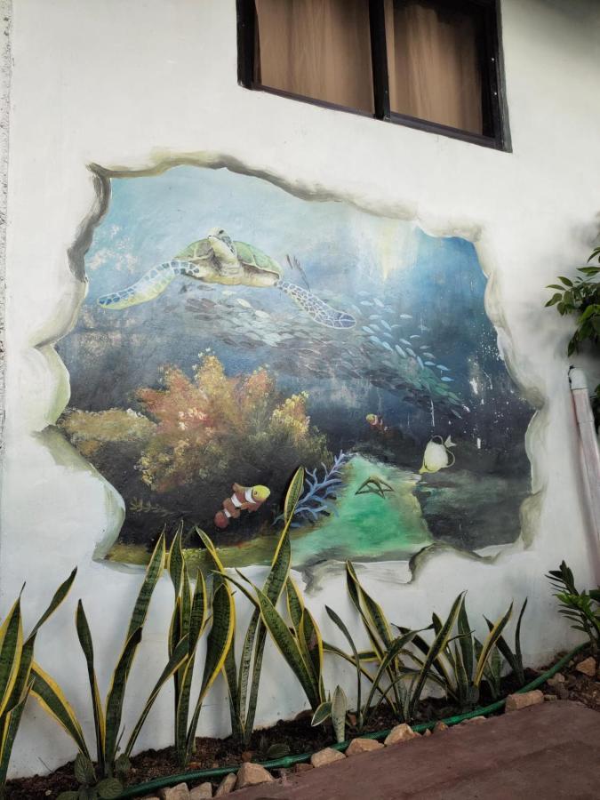 Purple Homestay Hillside Coron Exterior photo