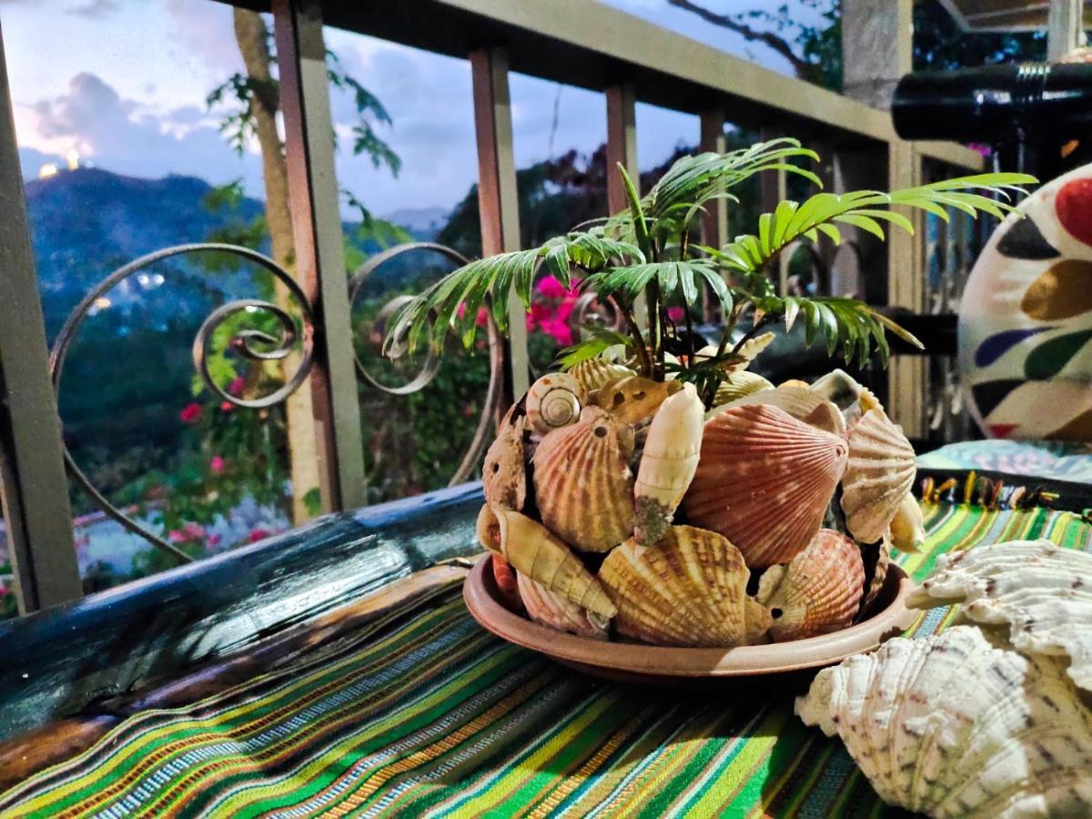 Purple Homestay Hillside Coron Exterior photo